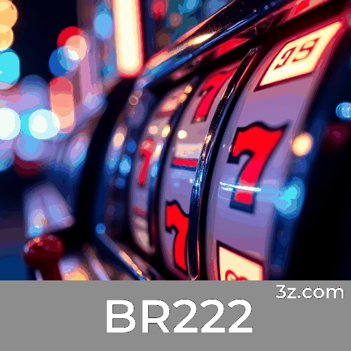 BR222 Logo